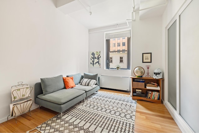 365 Bridge St Unit 2P, New York City, NY 11201 - living room with attic access and light wood finished floors