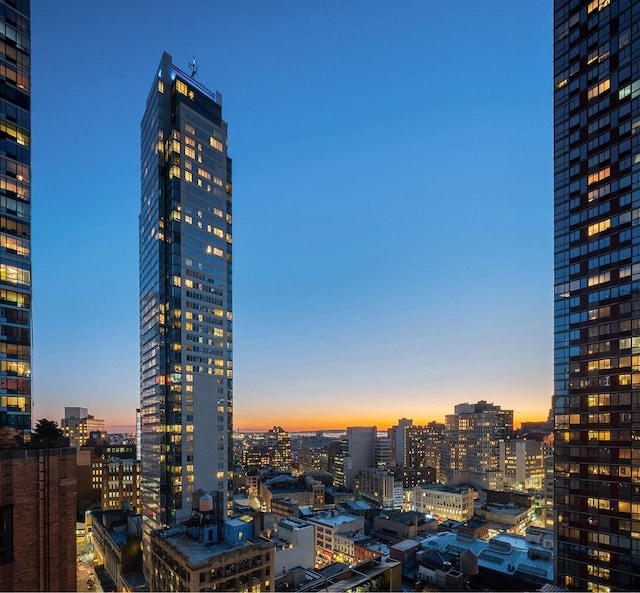 365 Bridge St Unit 2P, New York City, NY 11201 - city view
