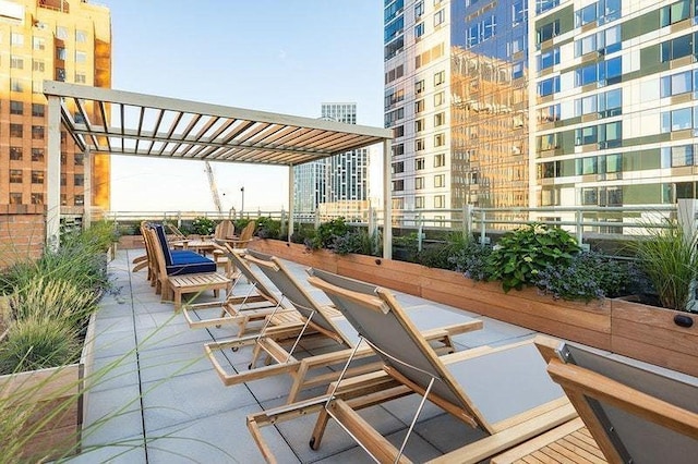 365 Bridge St Unit 2P, New York City, NY 11201 - view of patio / terrace