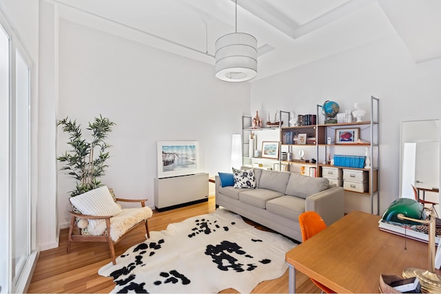 living area featuring light wood finished floors