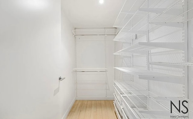 spacious closet featuring light wood finished floors