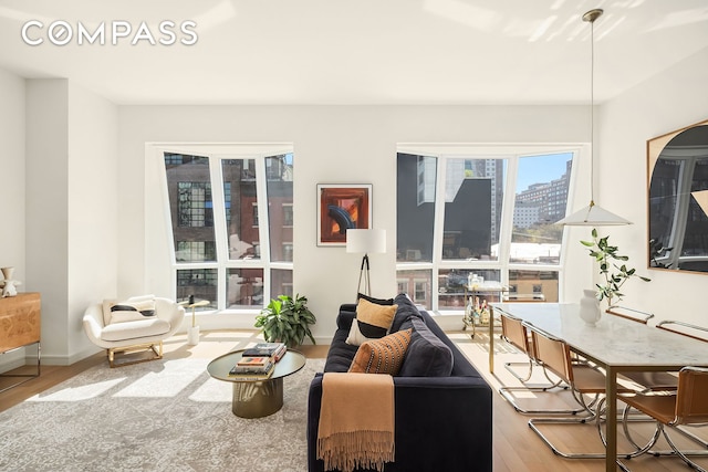 living area featuring baseboards and wood finished floors