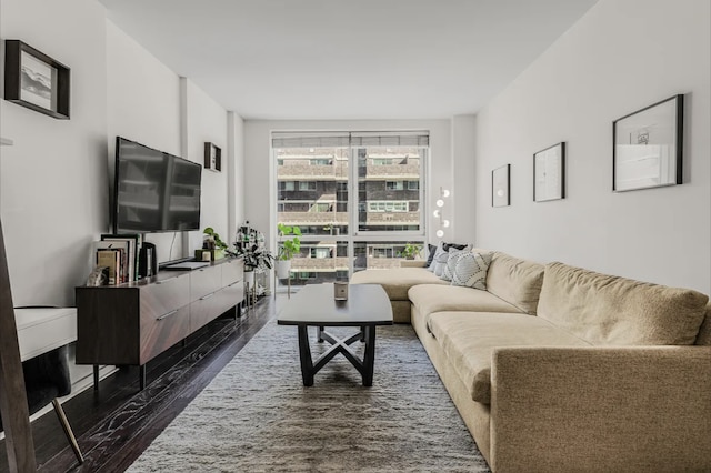 living area with dark wood-type flooring