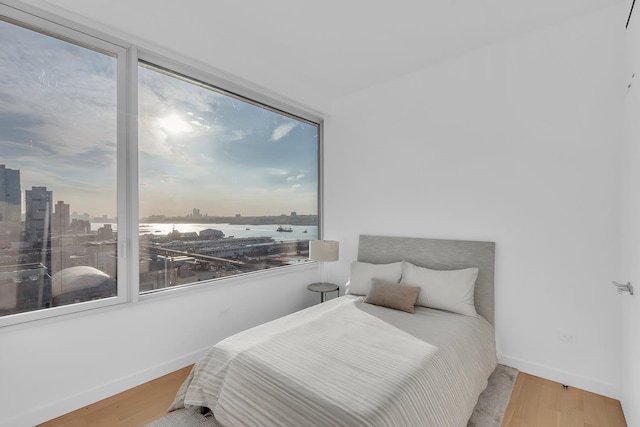 bedroom with a city view, baseboards, and wood finished floors