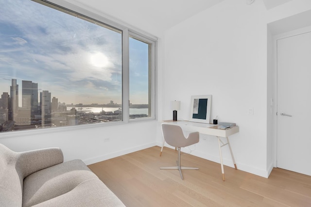 home office featuring baseboards, wood finished floors, and a view of city