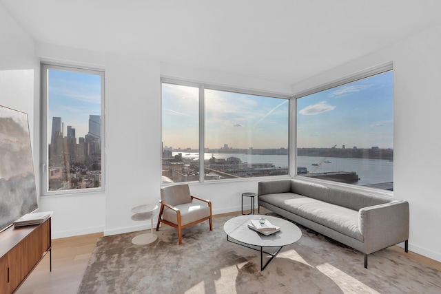 living area with baseboards, plenty of natural light, a city view, and light wood finished floors