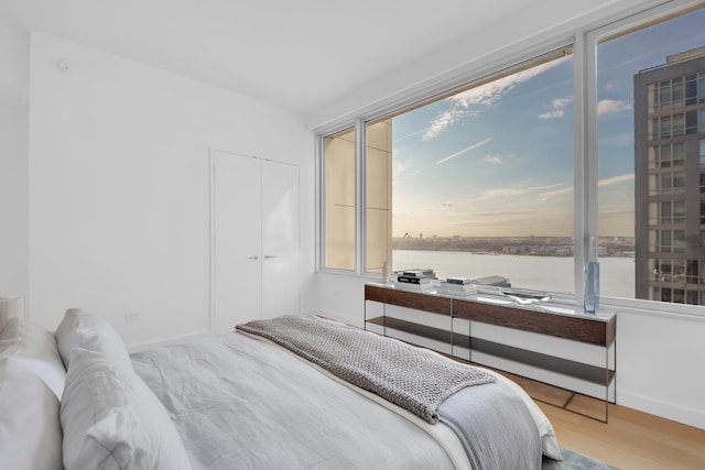 bedroom featuring a closet, wood finished floors, baseboards, and a water view