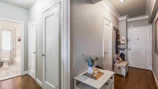 corridor with dark wood-type flooring and ornamental molding