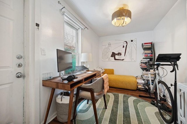 office space featuring wood finished floors