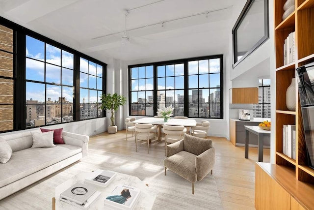 living area featuring rail lighting, a view of city, and light wood-style floors