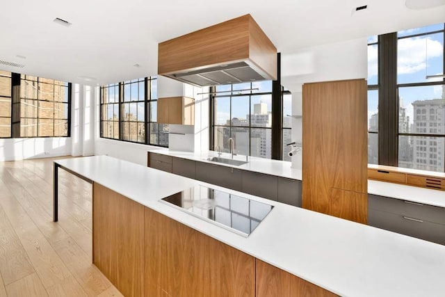 kitchen featuring custom exhaust hood, a city view, light wood-style flooring, and a sink