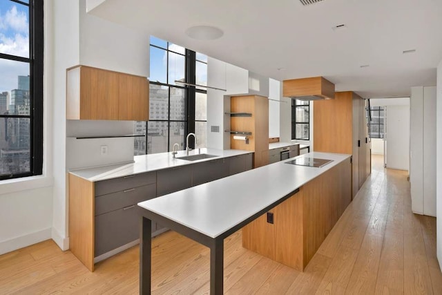 kitchen with modern cabinets, black electric cooktop, and a sink