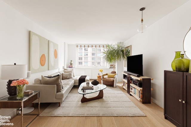 living room with light wood-type flooring