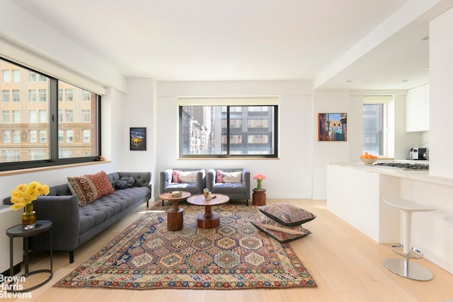 living area featuring light wood finished floors