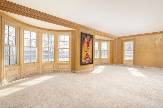 unfurnished living room with crown molding and carpet flooring