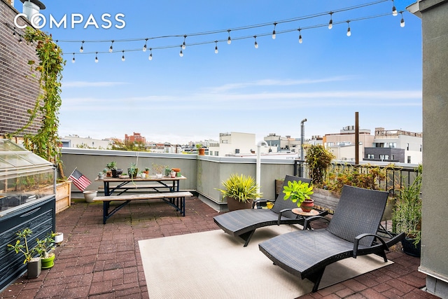 172 Wilson Ave Pha, Pha, New York City, NY 11237 - view of patio featuring a greenhouse