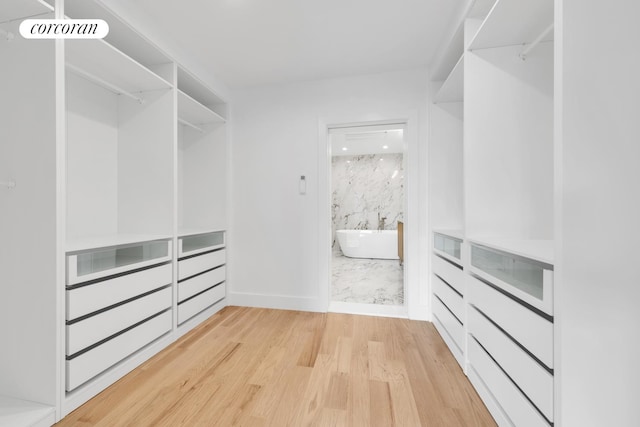 walk in closet with light wood finished floors and visible vents