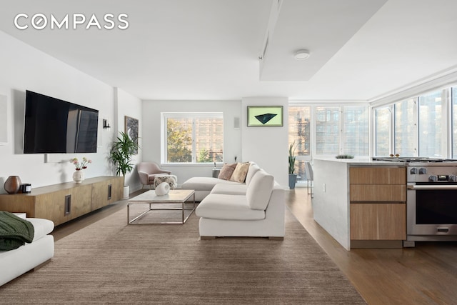 living area featuring dark wood-style flooring