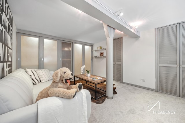 living area with rail lighting, baseboards, and carpet floors