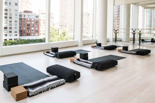 workout area featuring a city view and wood finished floors