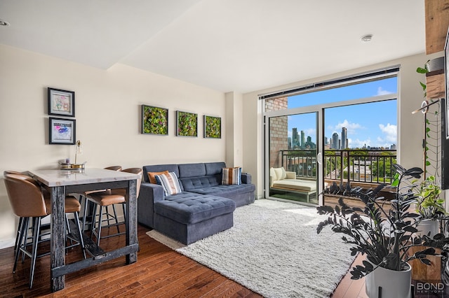 living room with hardwood / wood-style floors and a view of skyline