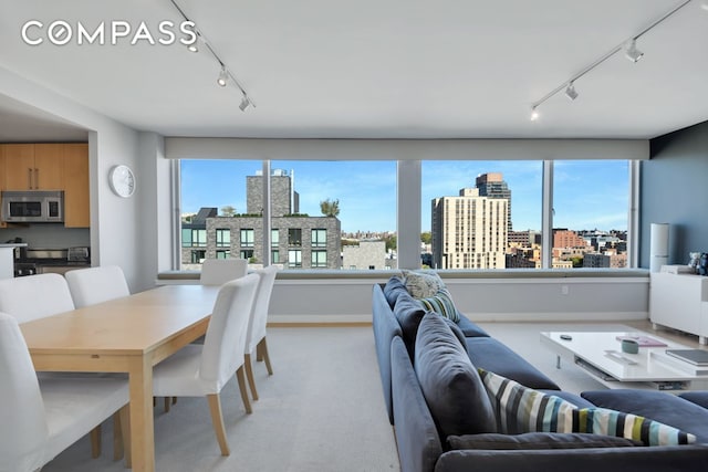 living area featuring light carpet, a healthy amount of sunlight, rail lighting, and a view of city