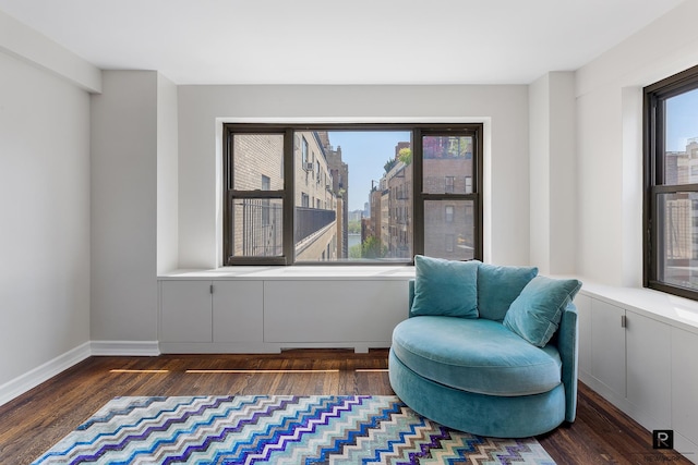 sitting room featuring baseboards and wood finished floors