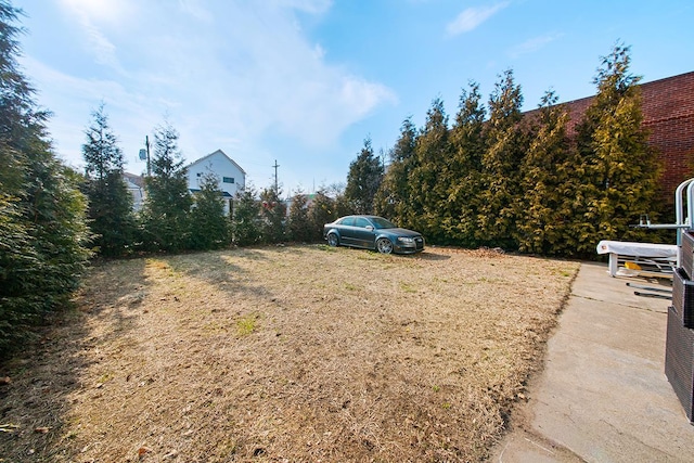 1176 E 94th St, New York City, NY 11236 - view of yard