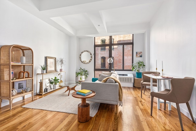 living area featuring a wall mounted AC and light wood finished floors