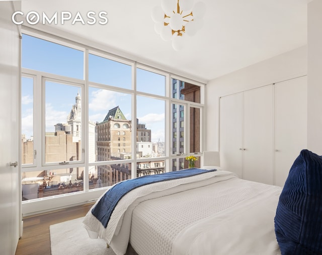 5 Beekman St Unit 21B, New York City, NY 10038 - bedroom with wood finished floors, a view of city, a wall of windows, and a closet