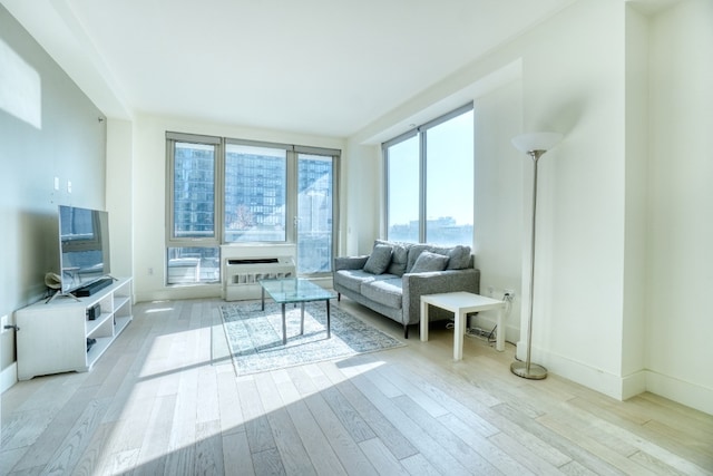 living room with baseboards and wood finished floors