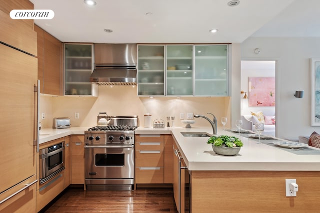 kitchen with a sink, stainless steel appliances, exhaust hood, and light countertops