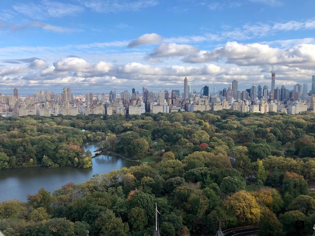 aerial view with a water view and a city view