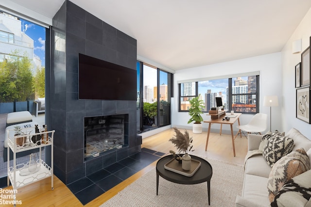 living room featuring wood finished floors and a fireplace