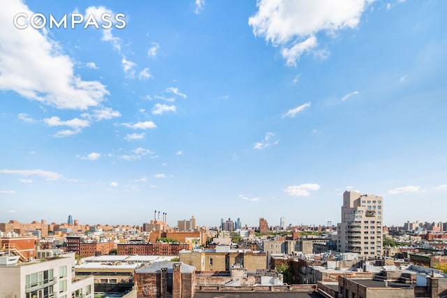 170 2nd Ave Unit 10E, New York City, NY 10003 - view of city skyline