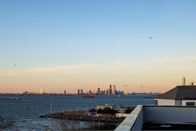 6911 Shore Rd Unit 6D, New York City, NY 11209 - water view
