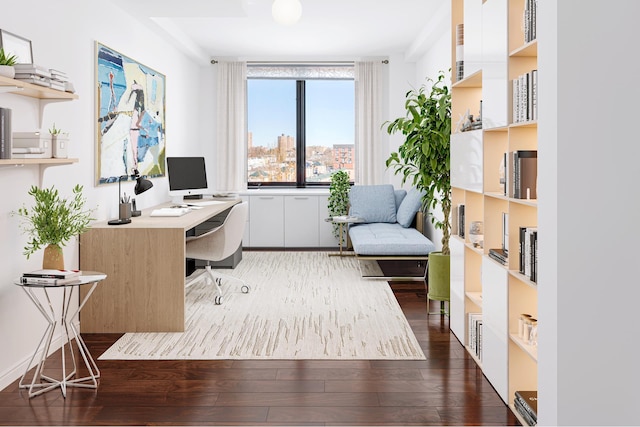 office featuring wood finished floors