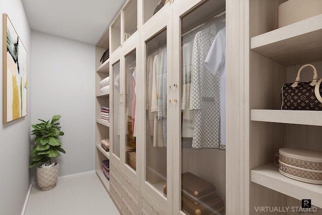 view of walk in closet