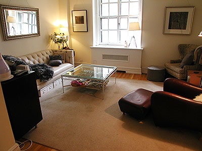 living room with plenty of natural light