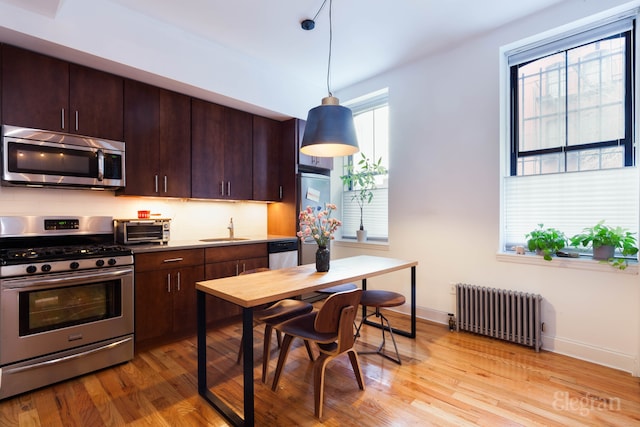 kitchen featuring radiator, a sink, stainless steel appliances, dark brown cabinetry, and light wood-type flooring