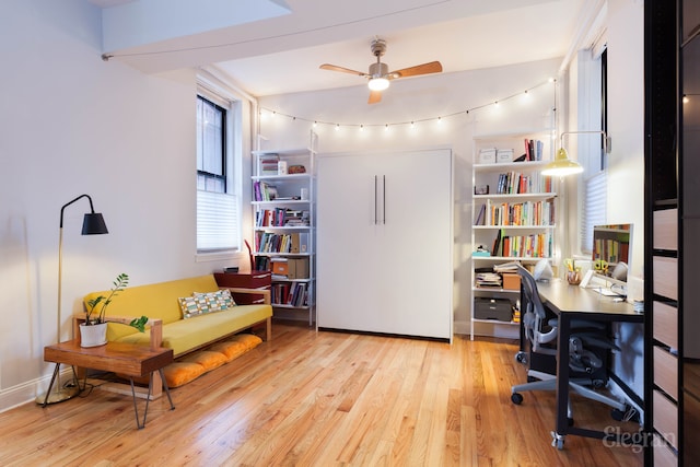 office space featuring wood finished floors and a ceiling fan