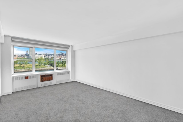 carpeted spare room with radiator