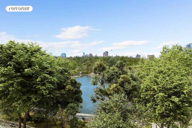 water view featuring a city view