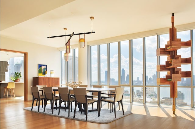 dining room featuring a view of city, wood finished floors, and a wealth of natural light