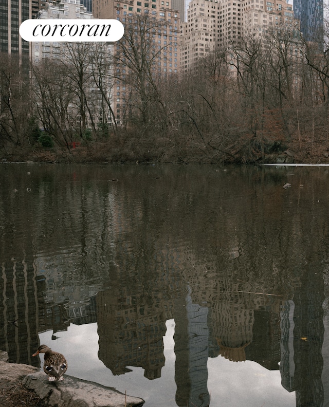 water view featuring nearby urban area