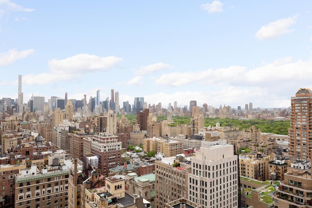 111 E 85th St Unit 10A, New York City, NY 10028 - view of city