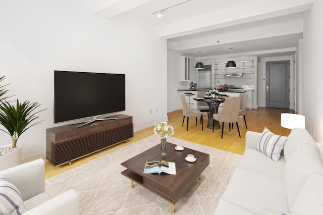 living room with track lighting, light wood-style flooring, and baseboards