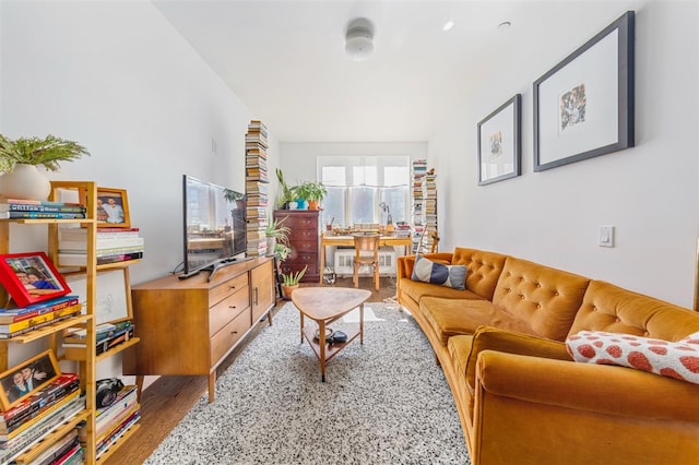 living area with wood finished floors