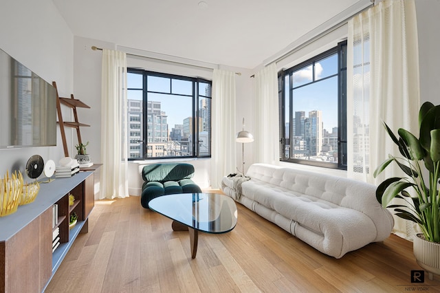 110 Charlton St Unit 20-G, New York City, NY 10014 - living room with a skyline view, wood finished floors, and plenty of natural light