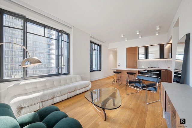 living area featuring baseboards and light wood-style flooring